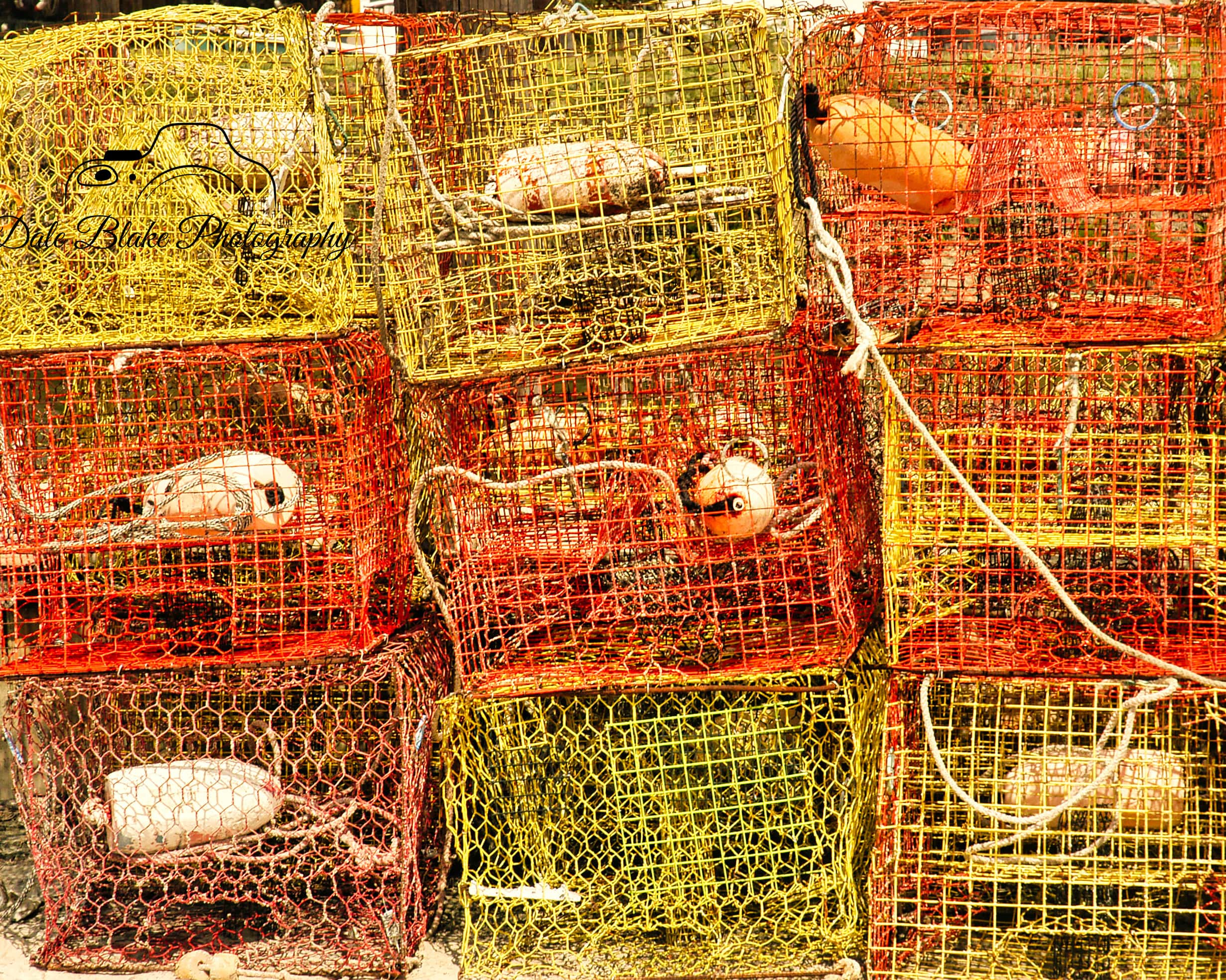 Crab Pots-min