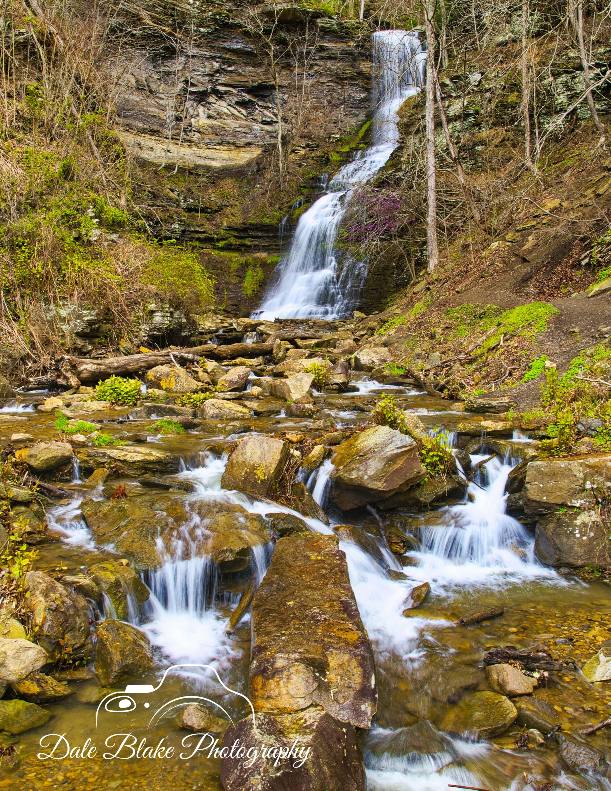 DSC_5946-Cathedral Falls-1- WVA-min