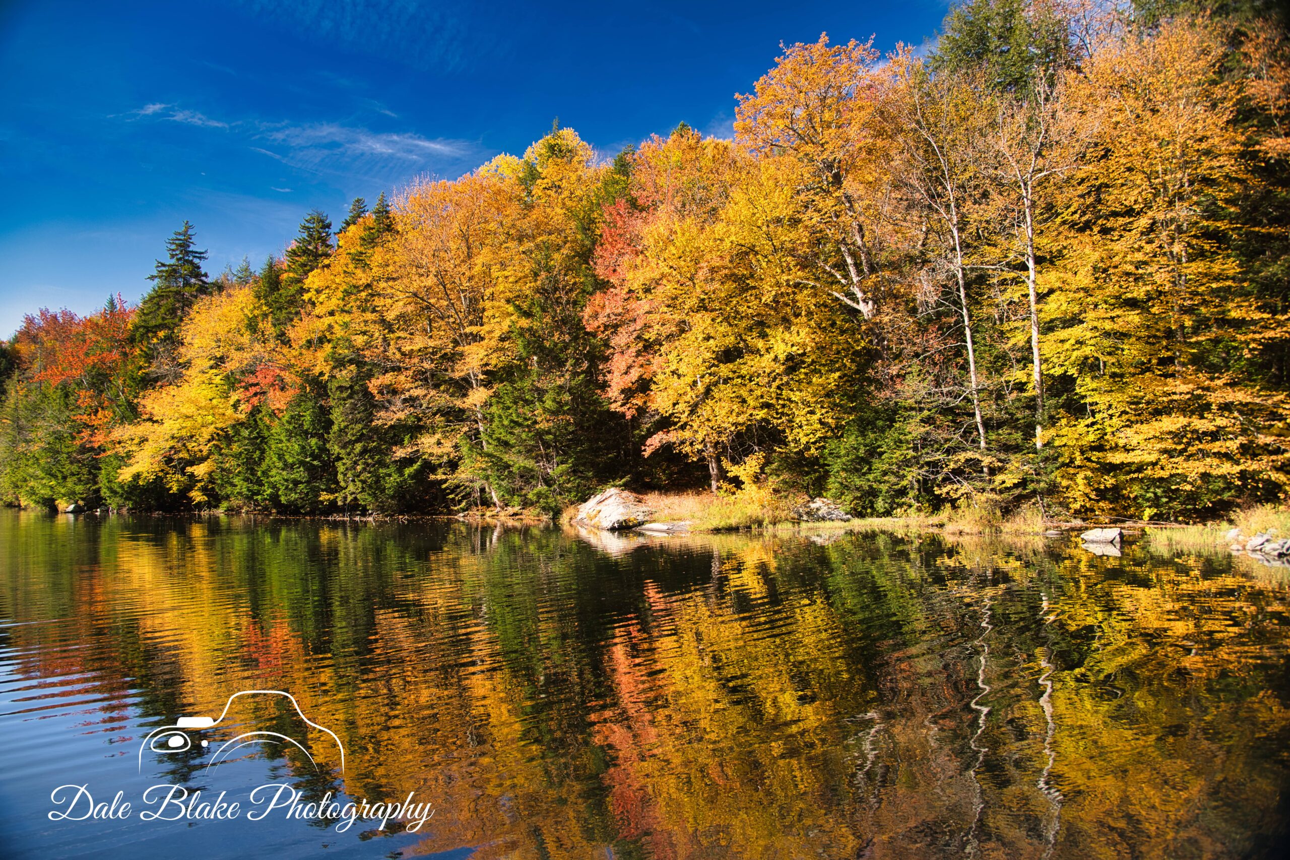 DSC_9194-VERMONT REFLECTIONS-min