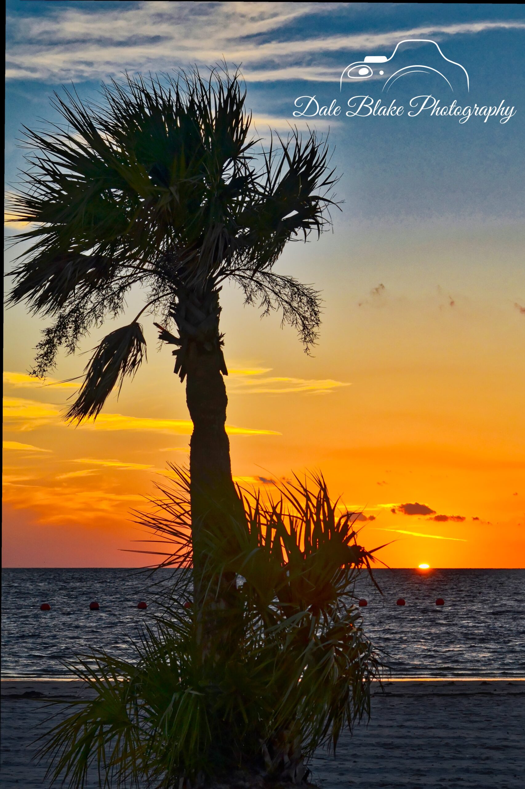 PALM AT FORT ISLAND TRAIL-min