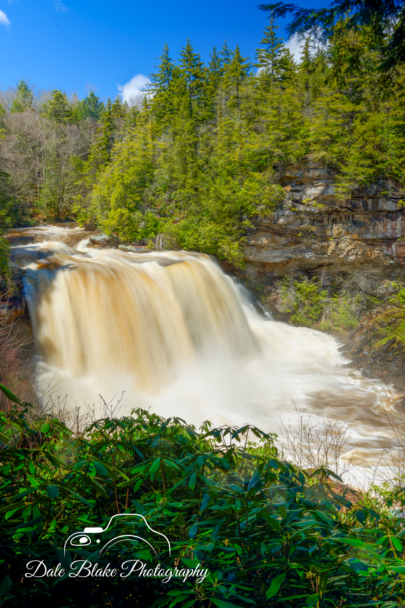 DSC_0075-Blackwater Falls-WVA (1)