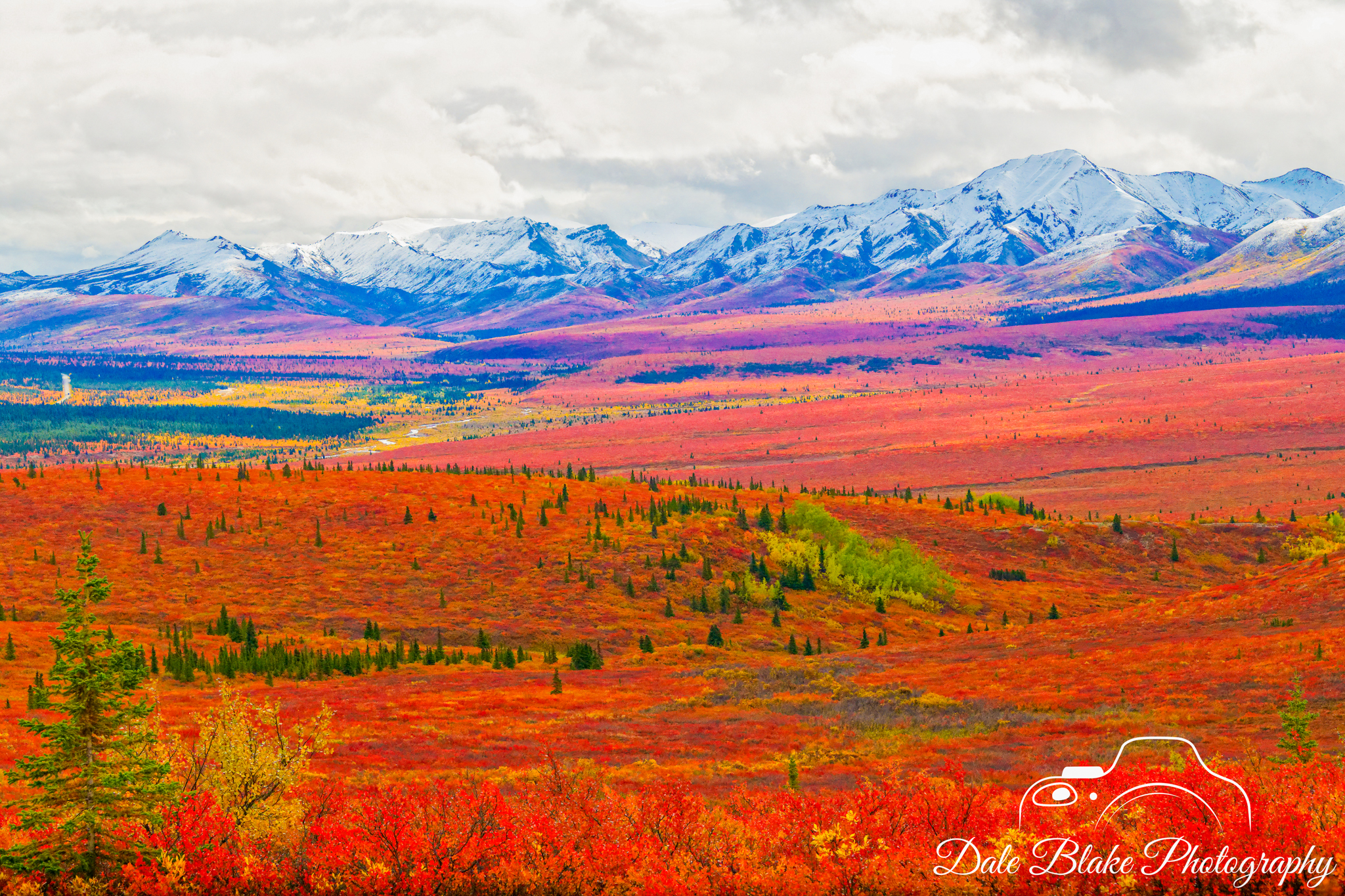 DSC_6297-Alaska LS-2 (1)